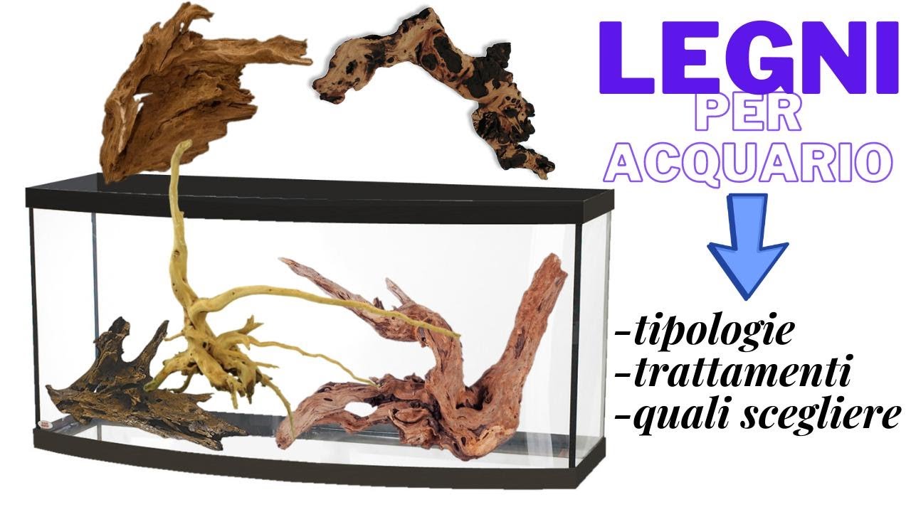 Legni per acquario - guida alla scelta e consigli per l'allestimento