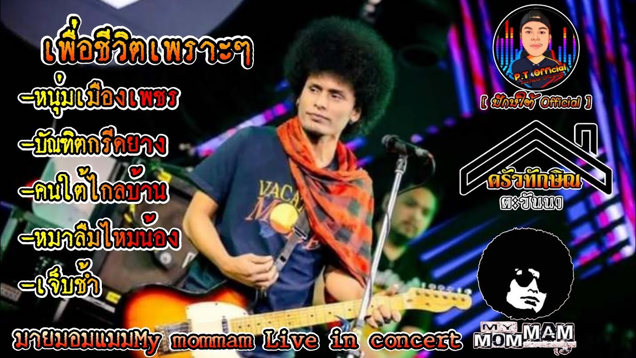 มาแรง🔥 หนุ่มเมืองเพชร+บัณฑิตกรีดยาง | เพื่อชีวิตชุดใหม่ล่าสุด live in concert | วงมายมอมแมมmy mommam