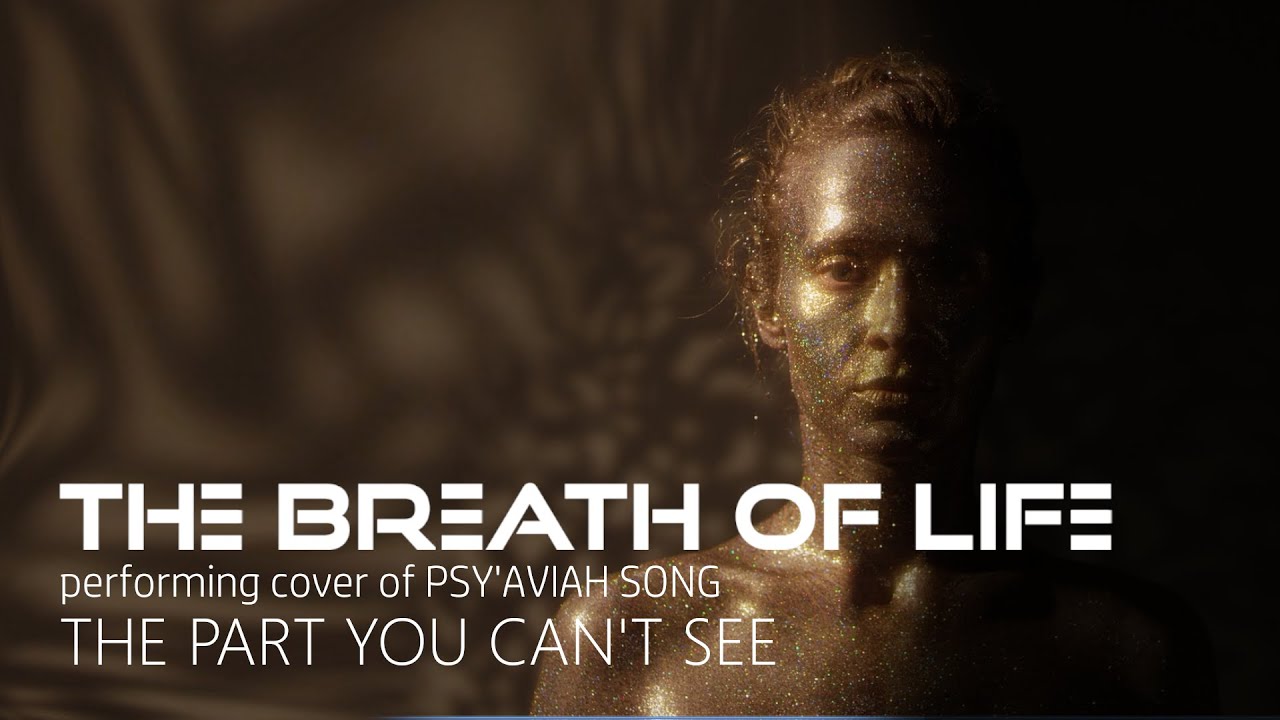 THE BREATH OF LIFE - The Part You Can't See (PSY'AVIAH cover)
