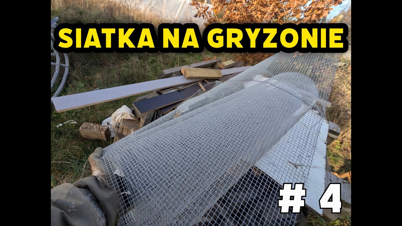 Siatka przeciw gryzoniom, konserwacja ramy, klątwa Webasto i koty z okolicy 🐈🔥 #4