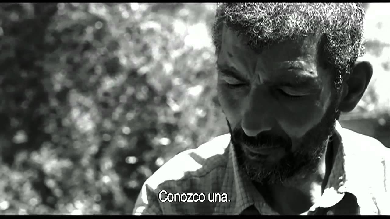 Todos vós sodes capitáns (trailer oficial)