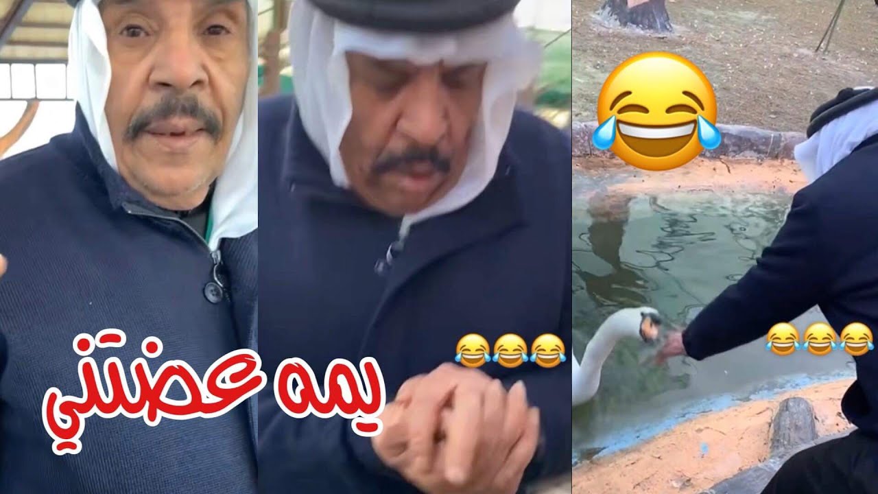 البطه هجمت على ابو طلال وفهد العرادي
