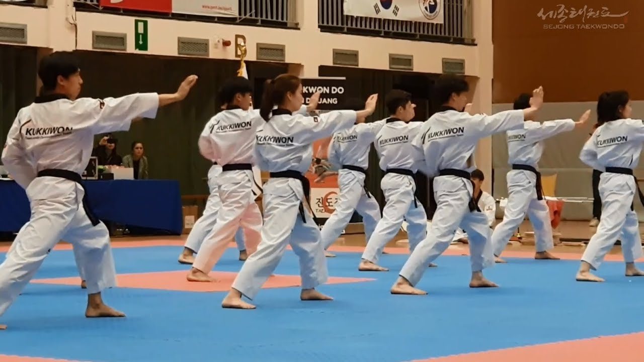 KUKKIWON DEMONSTRATION TEAM in Belgium 2019