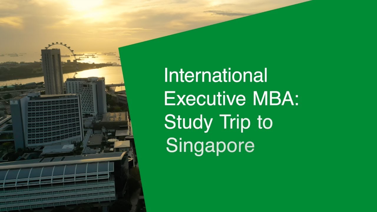 International Executive MBA: Study trip in Singapore