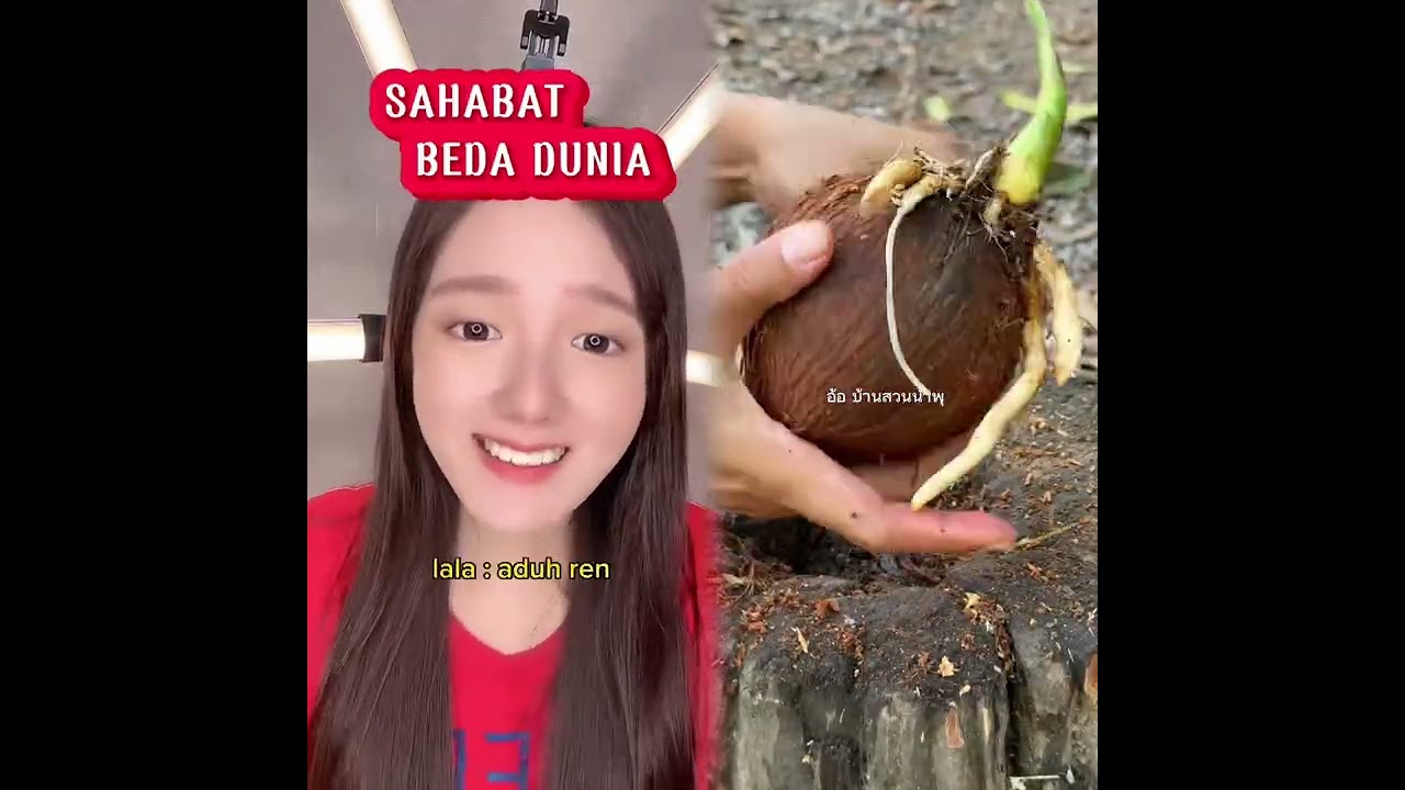 🤣👌👌👌2026 pov Must-Watch Crazy Clips Compilation #humor #fypシ #pov #fyp #foryou #funny 😍😜