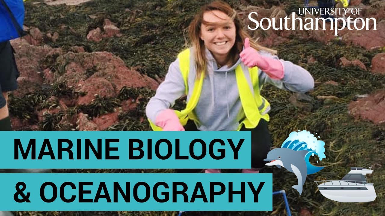 Study Marine Biology and Oceanography | University of Southampton