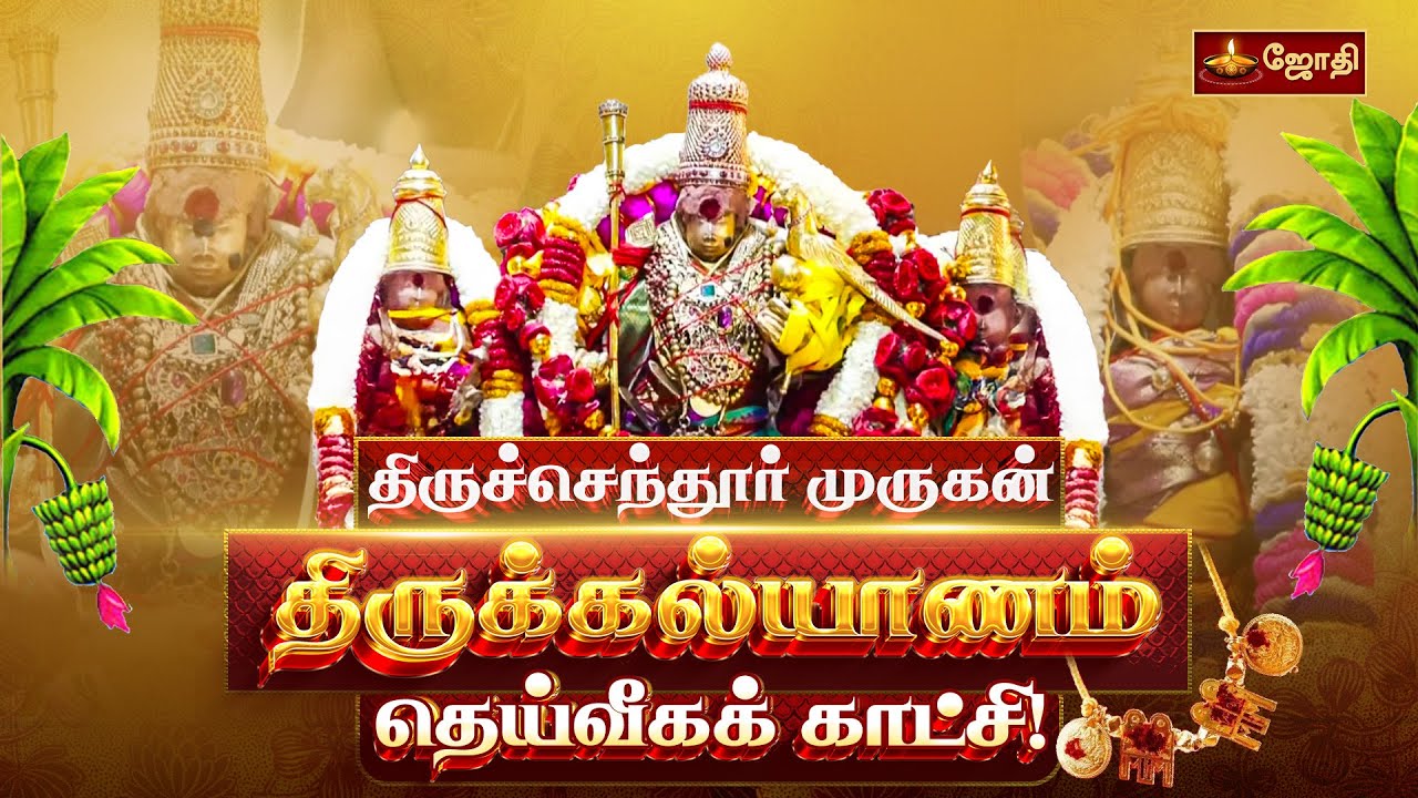 திருச்செந்தூர் முருகன் திருக்கல்யாணம் தெய்வீகக் காட்சி! | Tiruchendur Murugan Temple | Jothi Tv