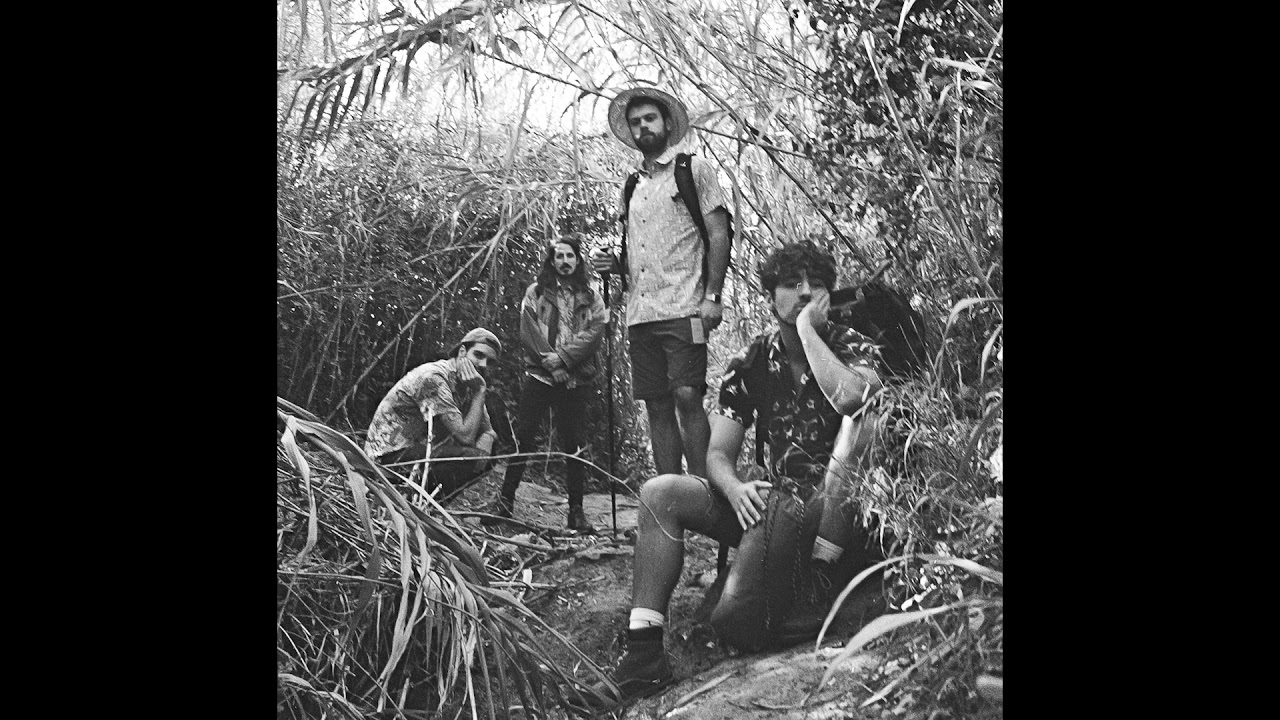 Back to You - The Cools