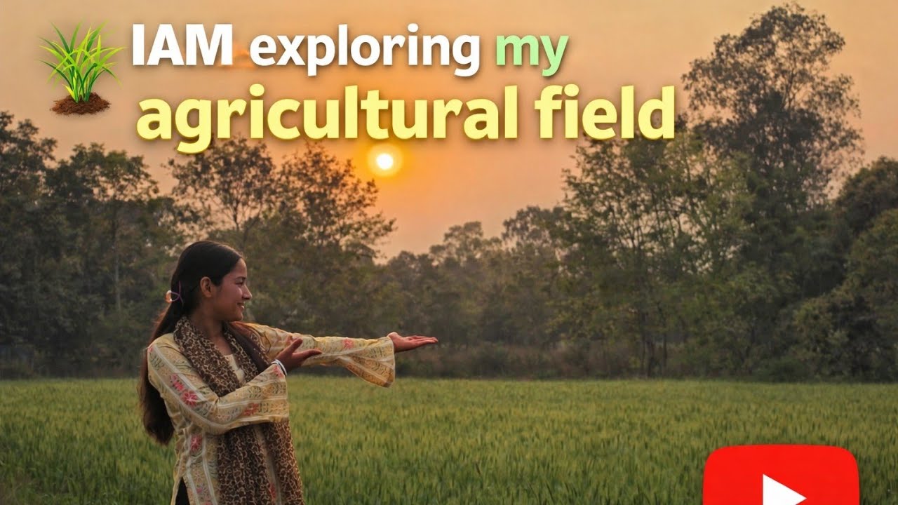 A peaceful evening in my field 😌My farm visit vlog guyss 😊#watchfullvlog#subscribemychannel 