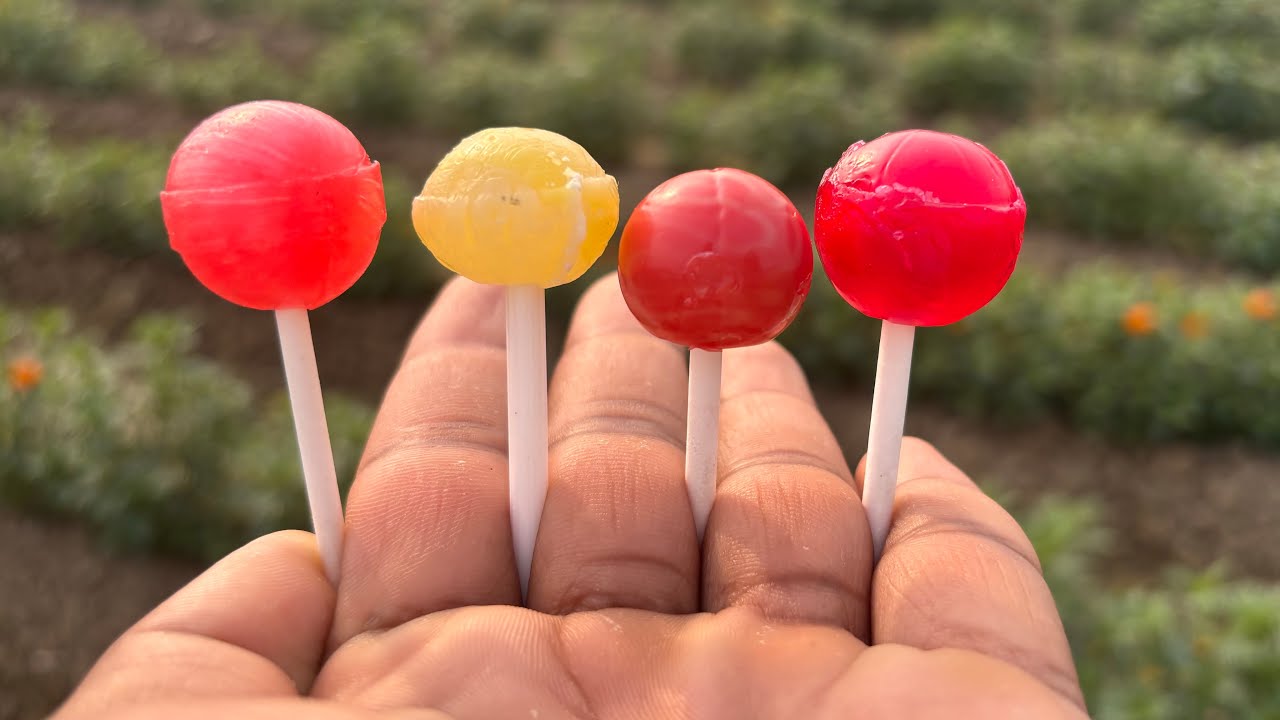 Crazy Candy Fun You Must Watch! 🍭😄