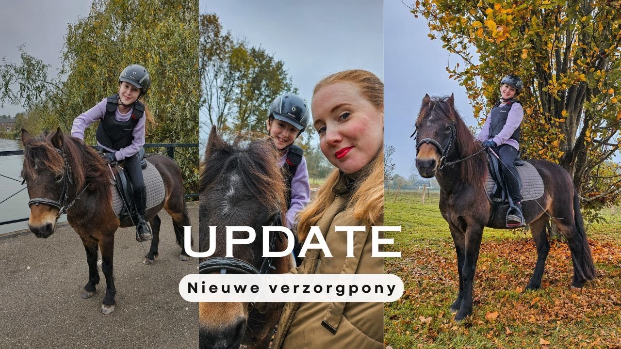 Onze nieuwe VERZORGPONY James (Dartmoor) | VLOG #151 | Lifestylekimberley
