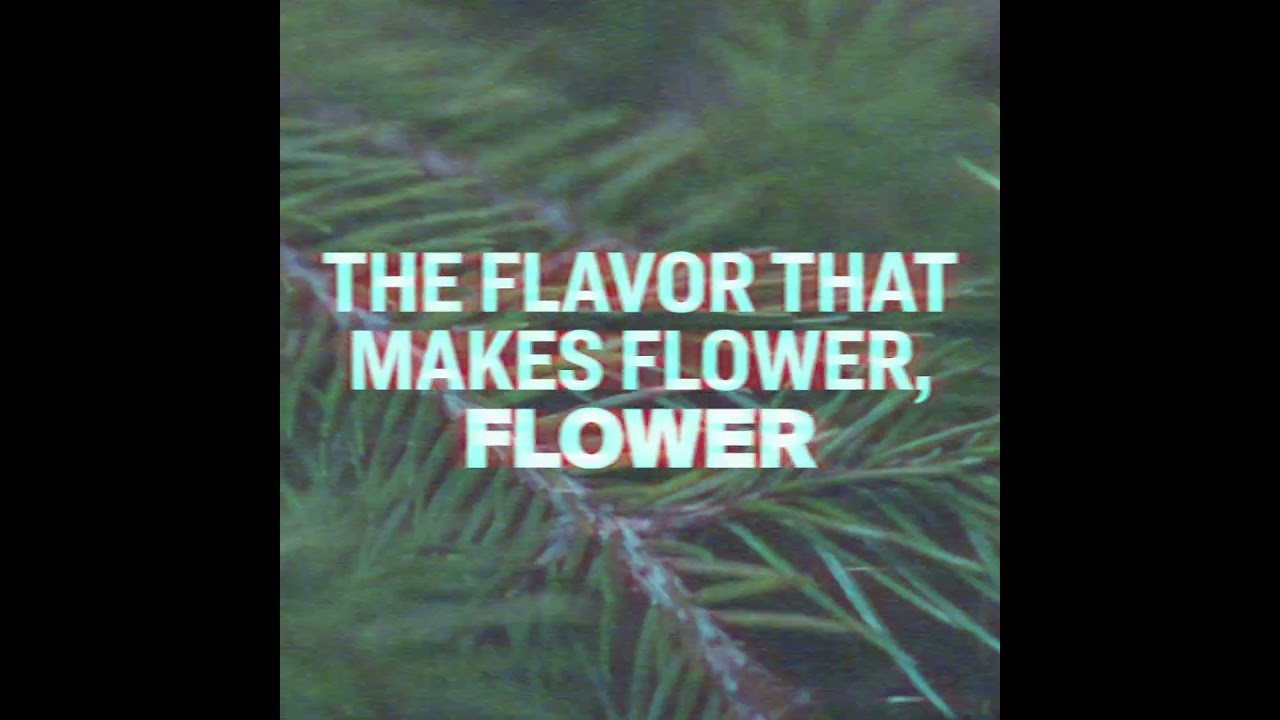OG Kush | Cultivar Series