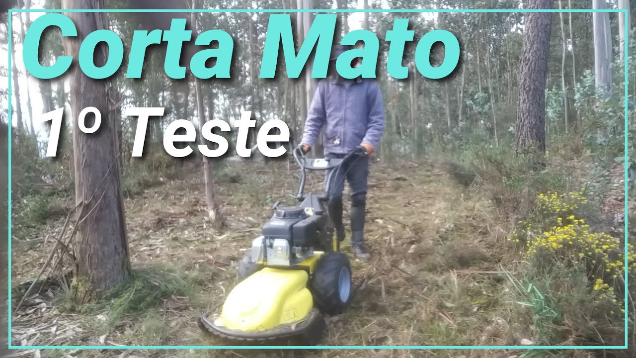 Capinadeira, Corta mato, ROQUES ET LECOEUR  HONDA GXV340