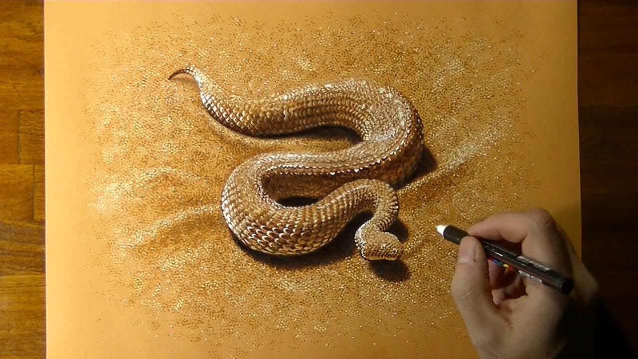 Как нарисовать песчаную гадюку 🐍 — покадровая съемка (длинная версия)