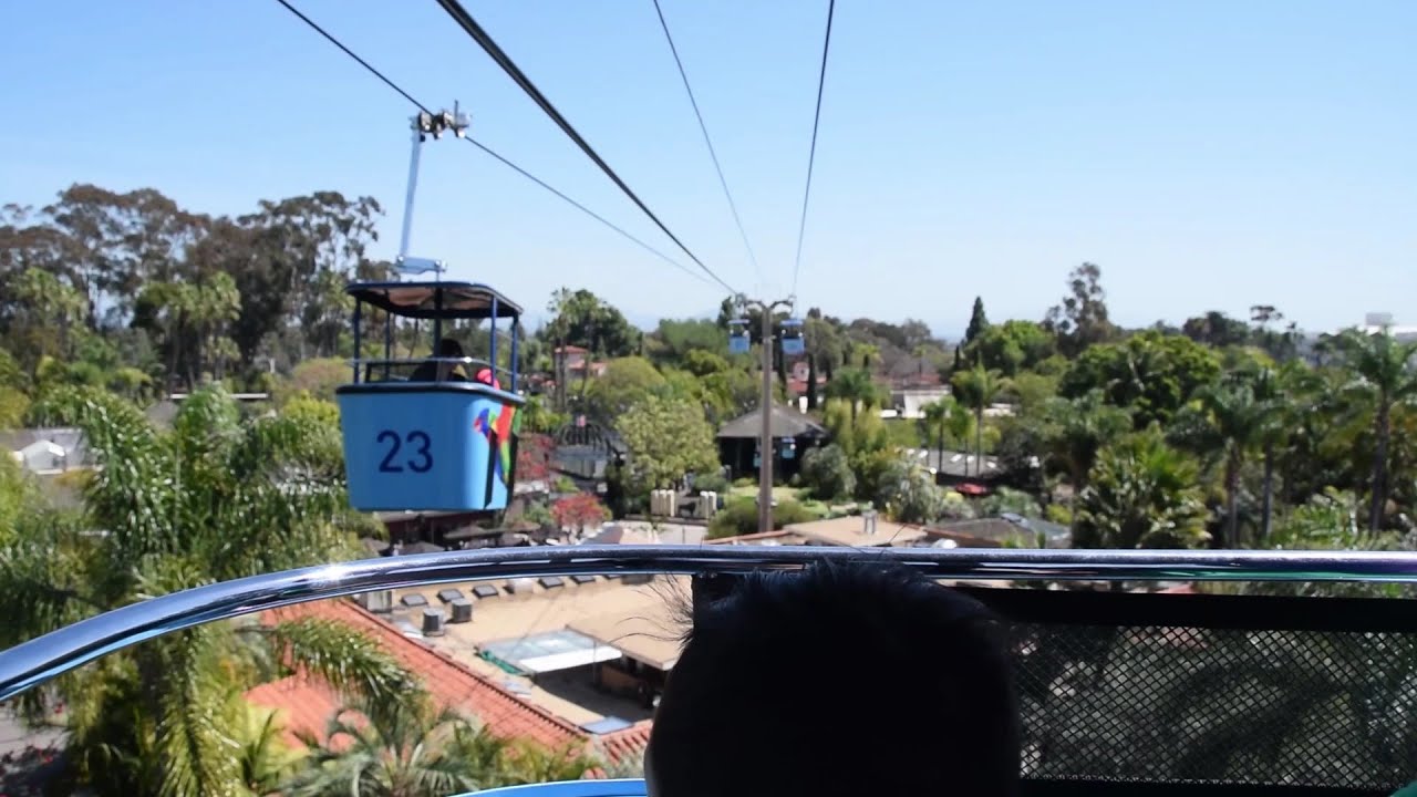 San Diego Zoo Skyfari Arial Tram Gondola Ride