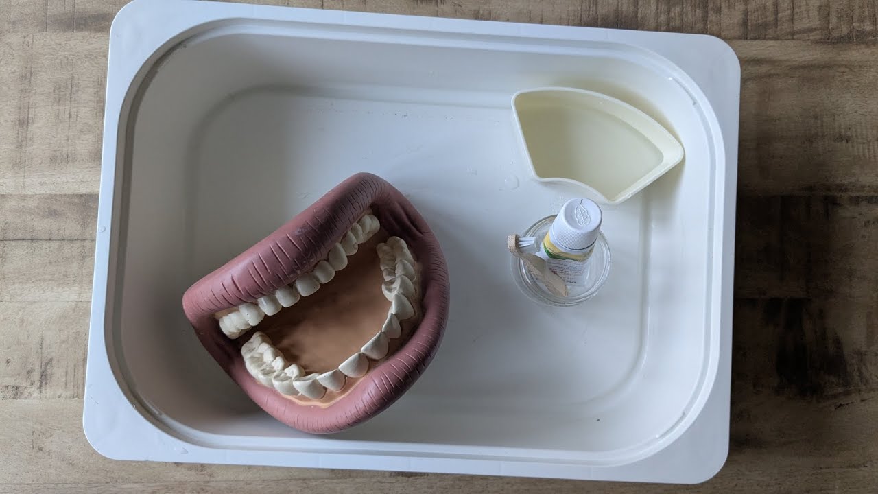 Brossage des dents #2 – Apprendre avec la bouche d’apprentissage 🦷