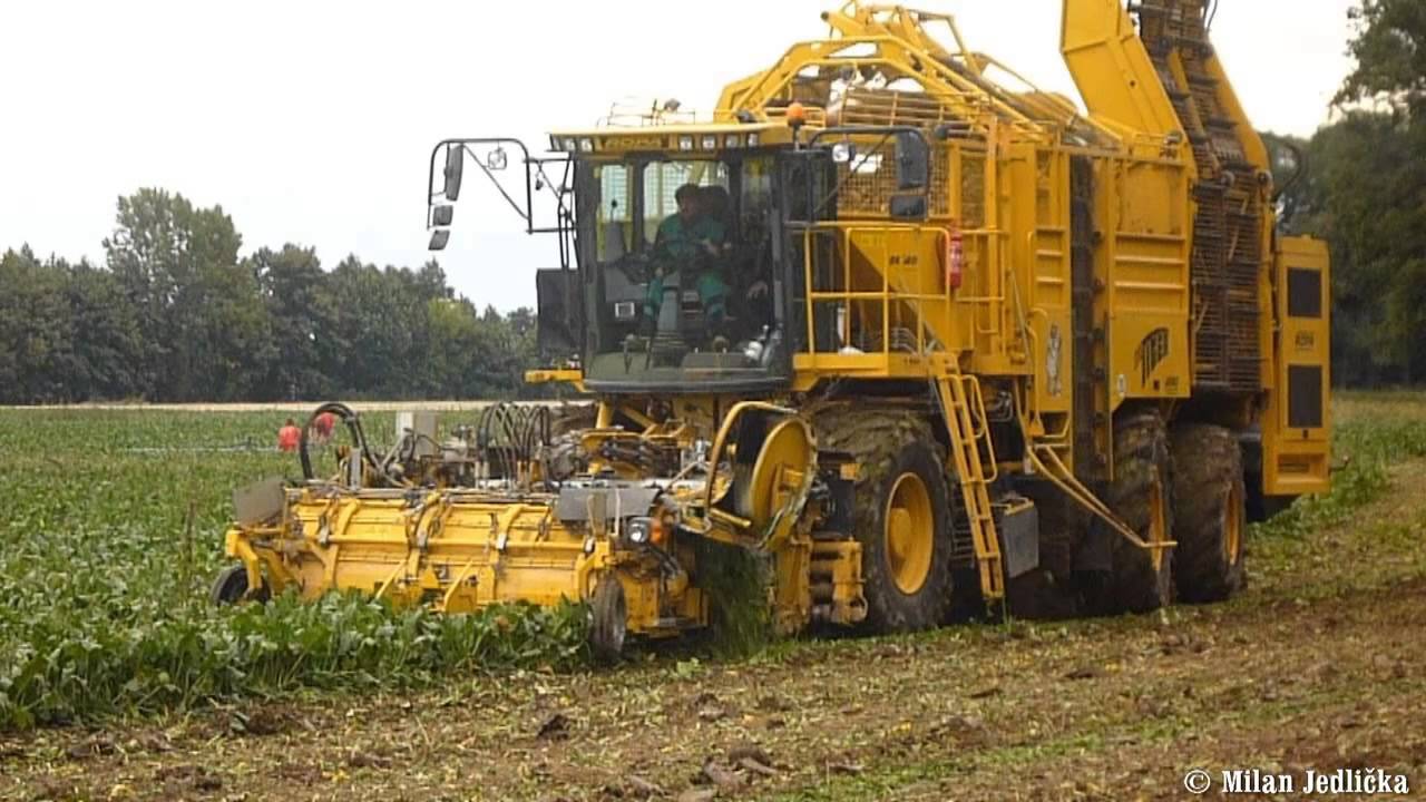 New Ropa Euro Tiger V8 - 3 | Řepa - Beet 2013 | HD |