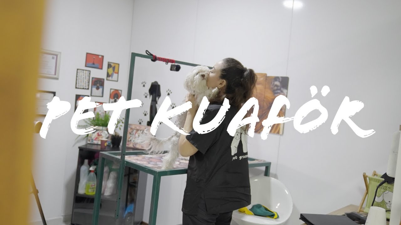 Pet Kuaför Cansu: Onların Hastalıklarıyla Uğraşmak Yerine Süsleriyle Uğraşmayı Tercih Ettim!