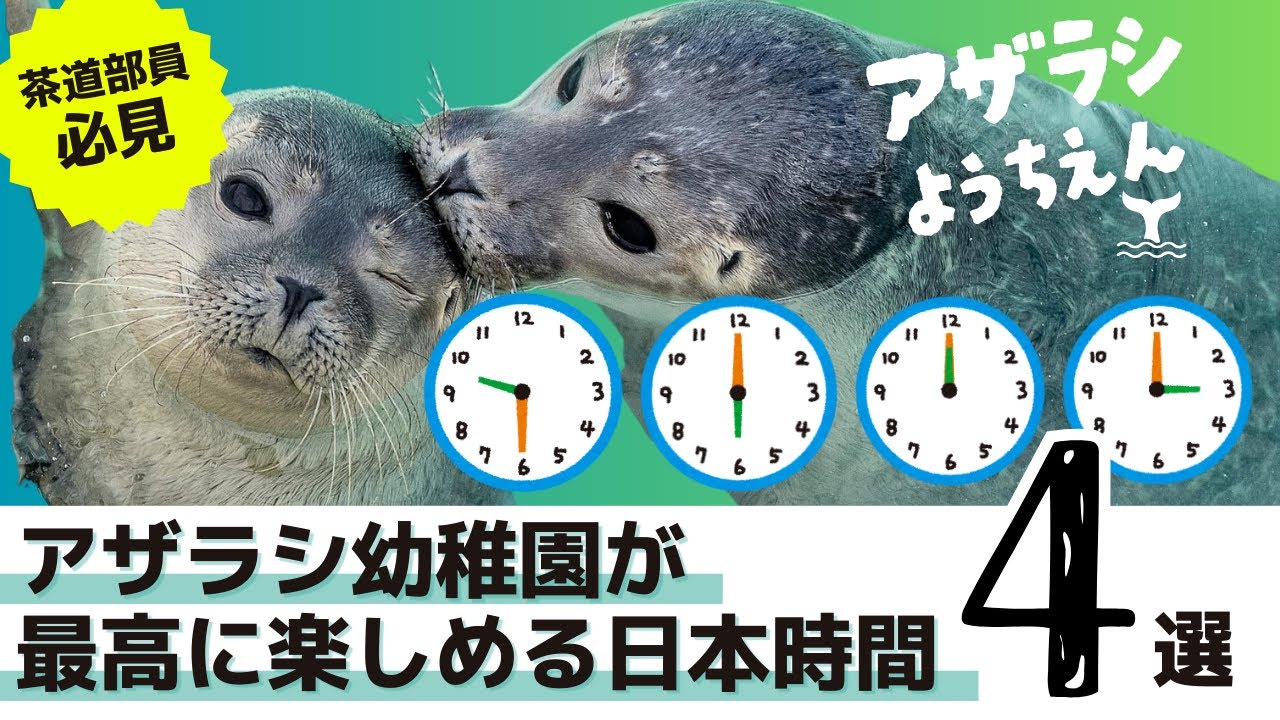 【時間割】アザラシ幼稚園を見逃せない時間4選【日本時間】