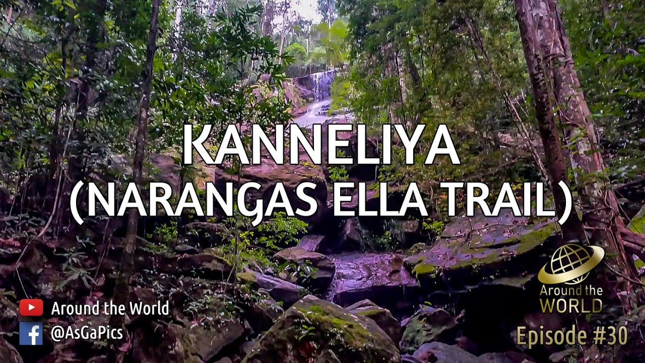🇱🇰 Kanneliya (Narangas Ella Trail), Sri Lanka. | කන්නෙලිය (නාරංගස් ඇල්ල මං පෙත)