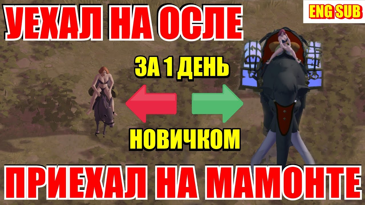 Albion online: С НУЛЯ ДО МАМОНТА ЗА 1 ДЕНЬ? ПРОХОЖДЕНИЕ АЛЬБИОН ОНЛАЙН
