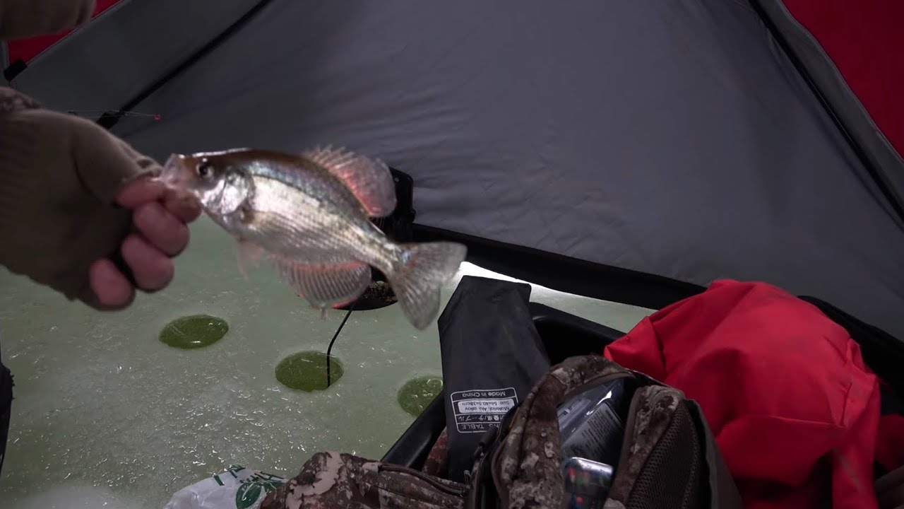 2025 ice fishing trip 3