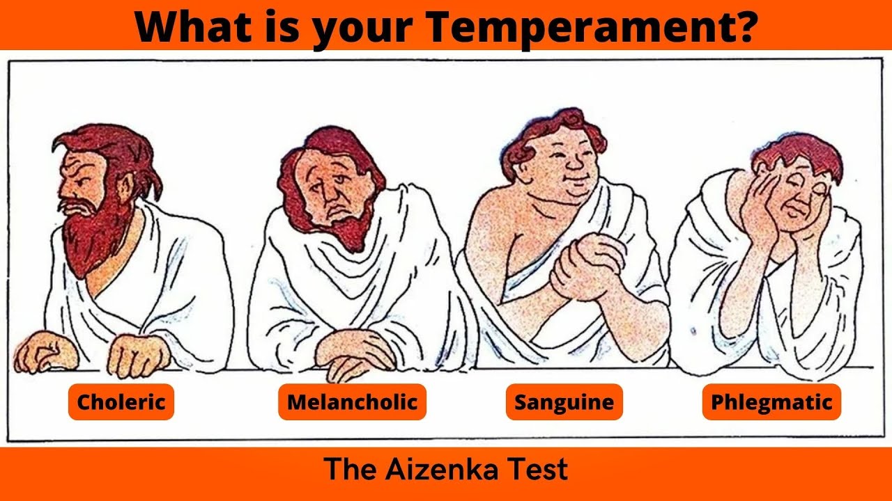 ✅ TEMPERAMENT TEST
