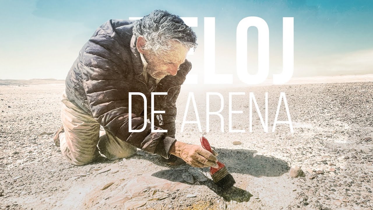 Teaser Reloj de Arena - Mario Urbina - Perucetus Colossus - Ica - Perú