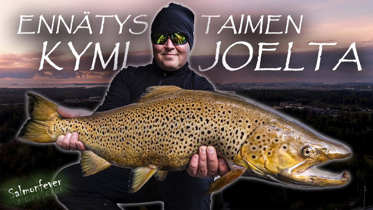 [ENGsub] TAIMEN ENNÄTYS 6,6kg Kymijoelta - TROUT RECORD Kymi River - C&R - Soutukalastus Kymijoki