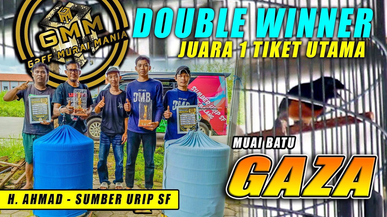 PERFORMA SEMPURNA DOUBLE WINNER !! MB GAZA PEMILIK H. AHMAD RAIH JUARA 1-1 DI KLI ARENA PEKALONGAN