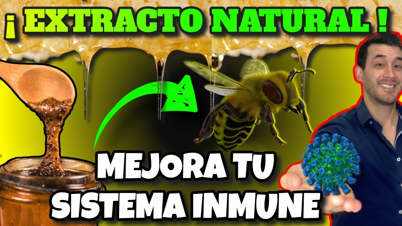 COVID 19| &iexcl;LOS GRANDES BENEFICIOS DEL PROP&Oacute;LEO! | LO MEJOR PARA FORTALECER EL SISTEMA INMUNE