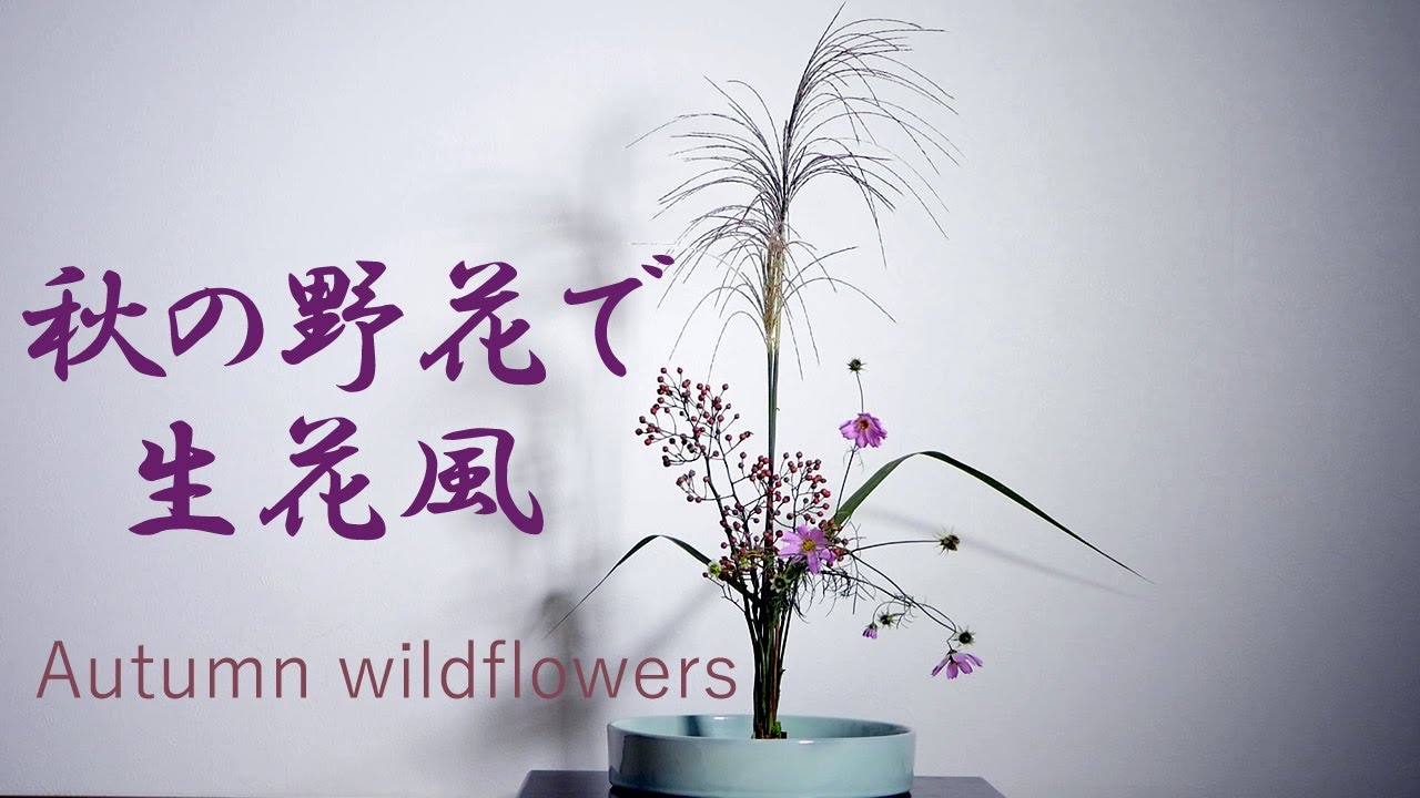 【生け花】秋の野花で生花風【ikebana】芒/秋桜/野薔薇/Autumn wildflowers/秋天的野花/Fleurs d'automne/Flores de outono/shoka/格花風