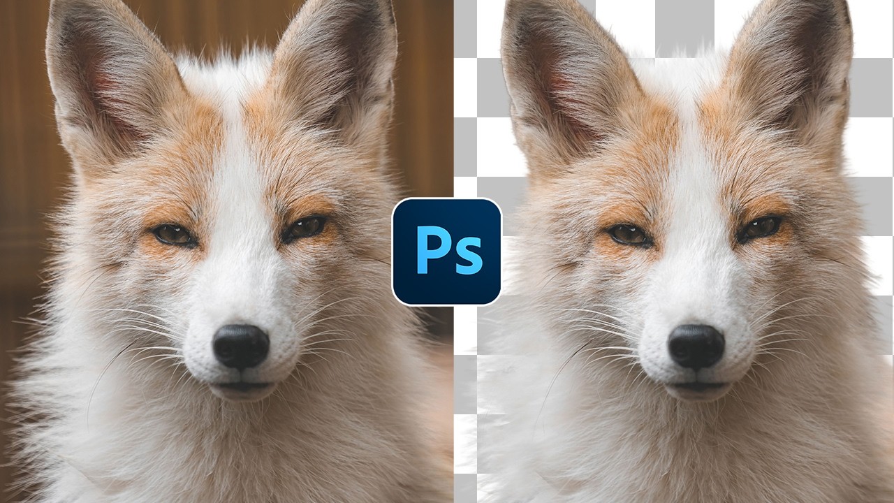 How To QUICKLY Cut Out Complex Images In Photoshop