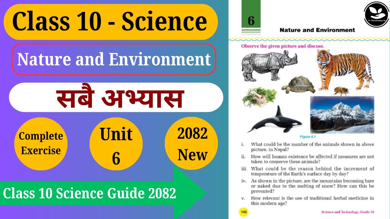 Class 10 Science Chapter 6 | Nature and Environment | Full Exercise Solution | New Syllabus 2080