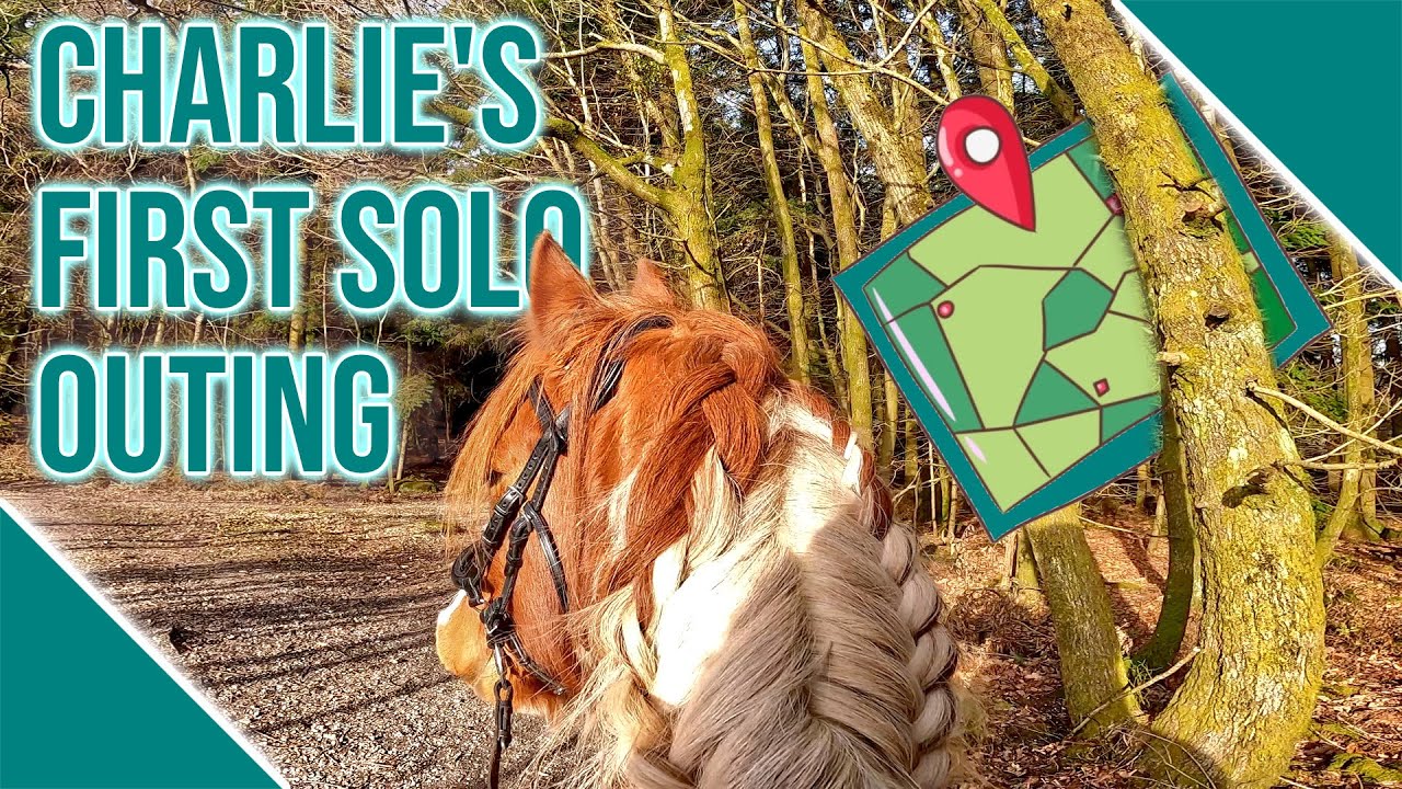 CHARLIE'S FIRST SOLO EVENT || The Ride Report ! || POV GoPro Horse Riding ||