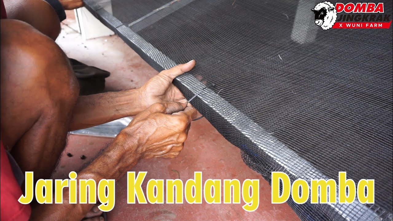 PEMASANGAN JARING KANDANG DOMBA