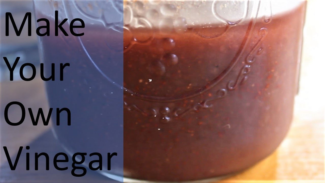 Experimental Blueberry Vinegar: Kestrel’s Cooking 7