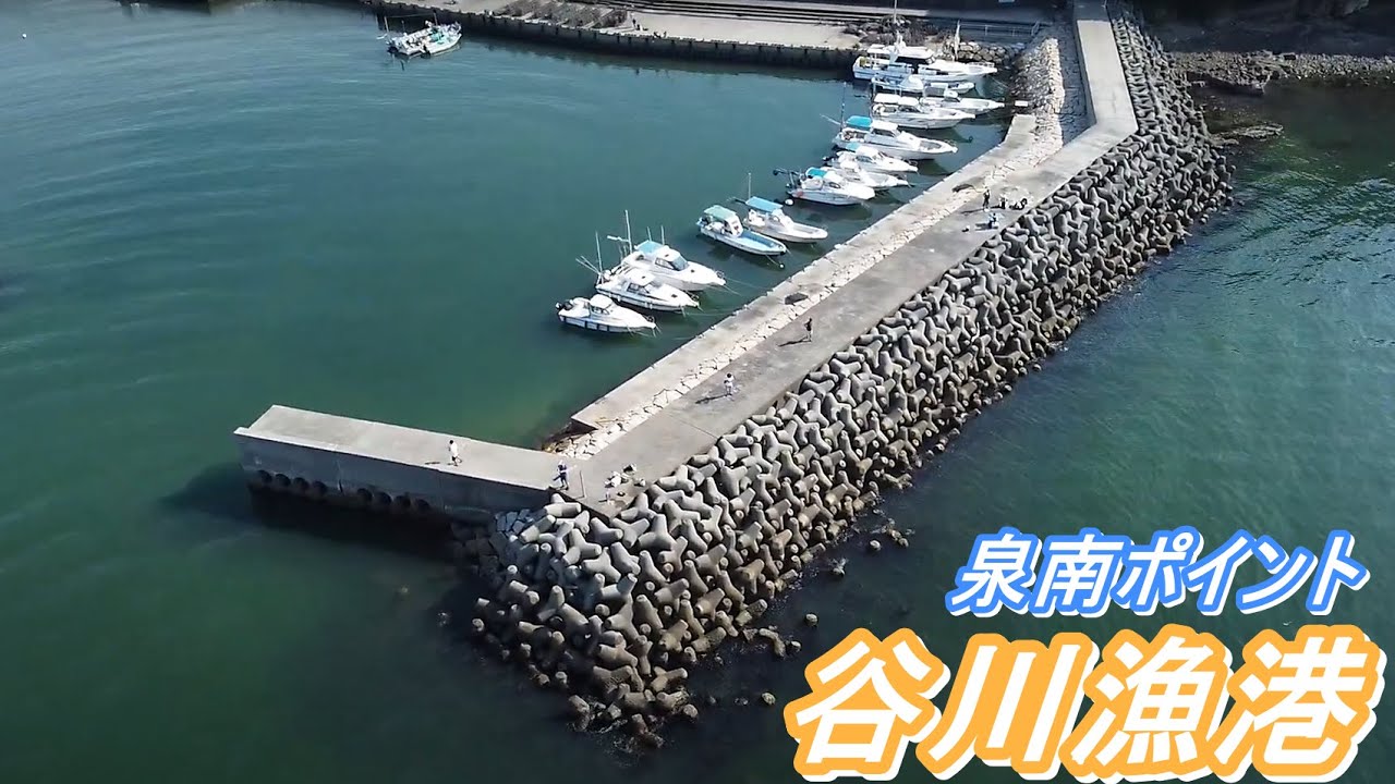 谷川漁港　釣り場紹介 ロックフィッシュ＆エギングのランガンポイントにおすすめ！大阪で南から2番目ののどかな漁港