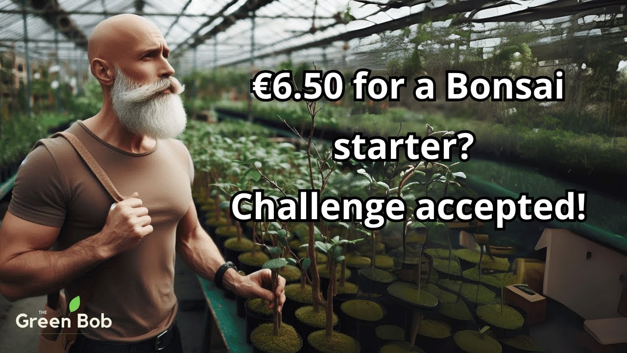 Turning a Nursery Plant into a Bonsai (Without Breaking the Bank!)