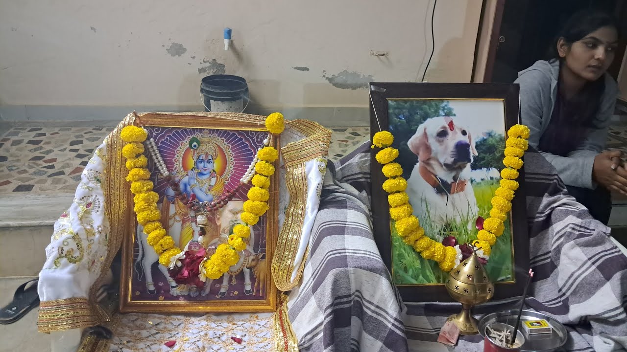 રાધે રાધે રાધે  ગોકુળ માં ગોવિંદ રાધે ભજન સ્વર પિન્કી બેન જેકી ના સ્મરણ નિમિતે ભજન ....