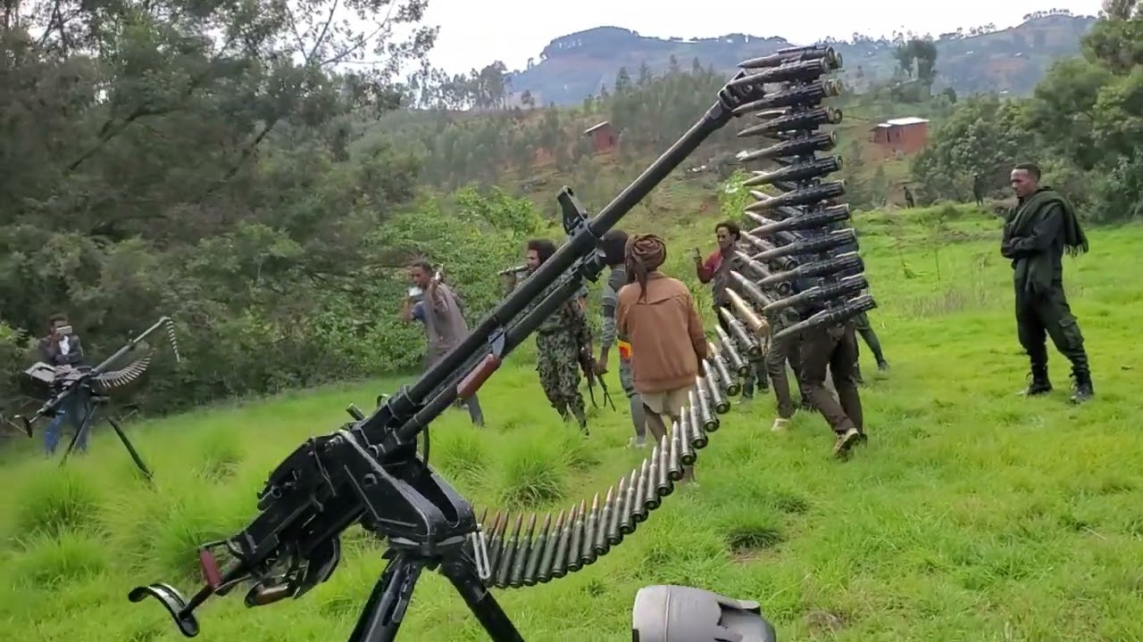አባግስ ሻለቃ @abagis shaleka