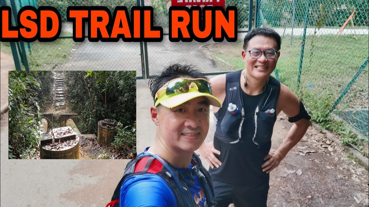 Weekend Trail Run MacRitchie Reservoir To Bukit Timah Summit