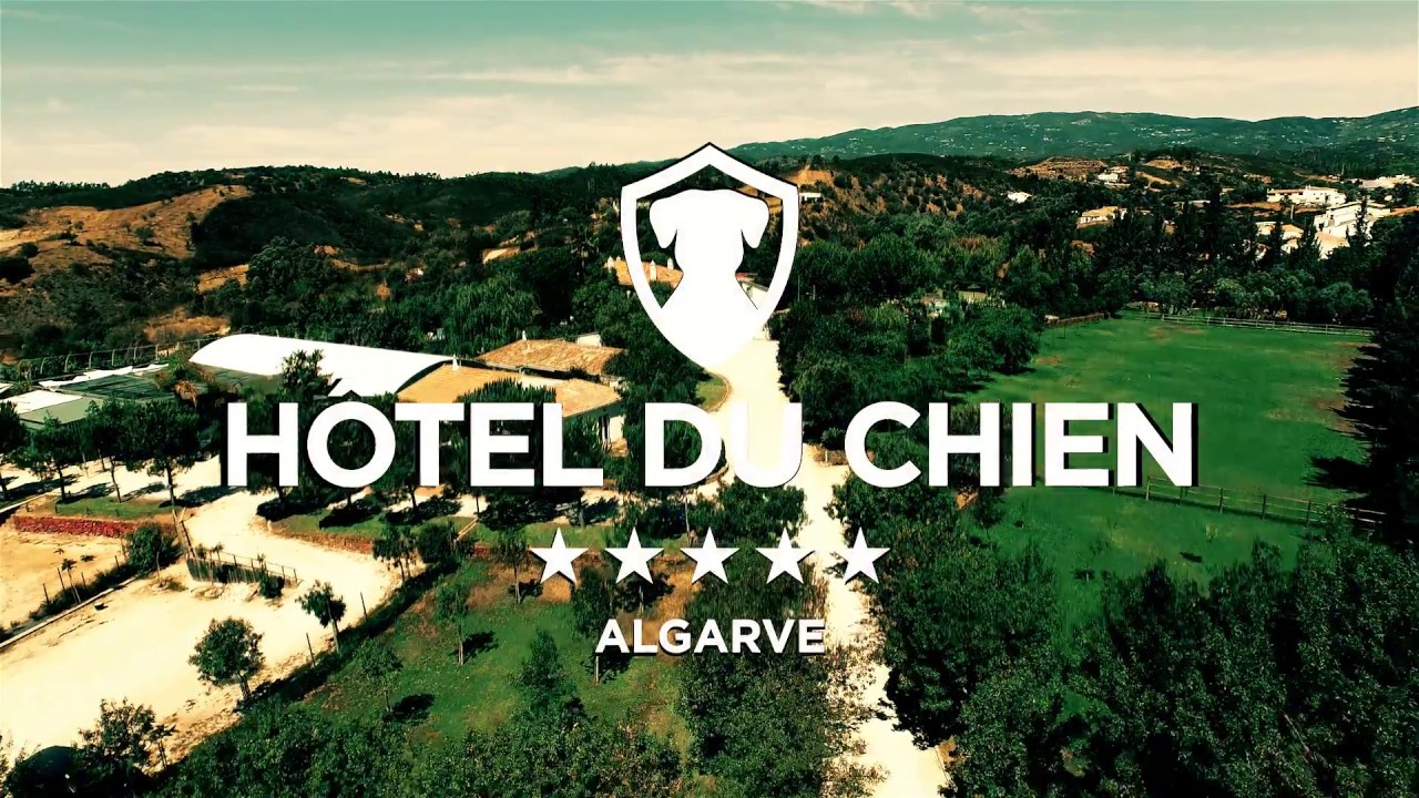 Hôtel du Chien - 