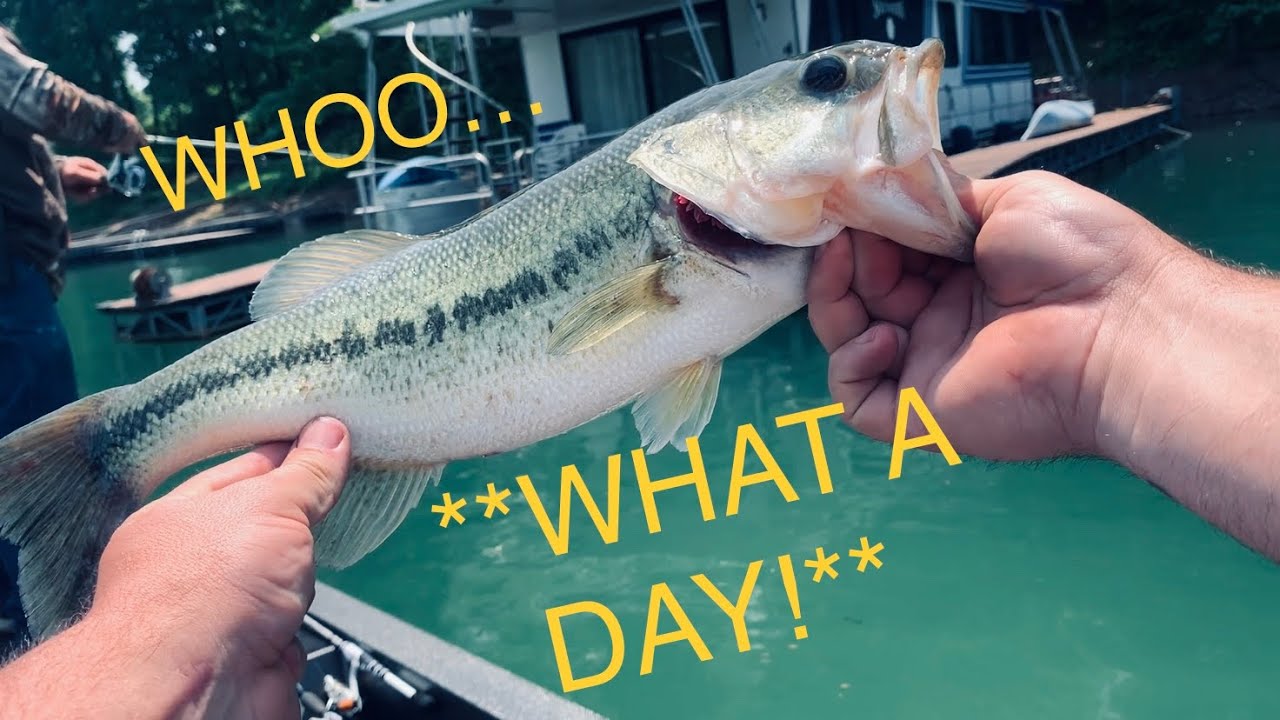 How to Have FUN Bass FISHING Norris Lake TN