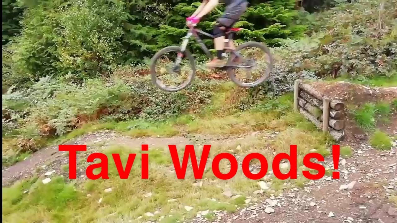 Sending it at Tavi Woods with Bikes Bits and Bobs