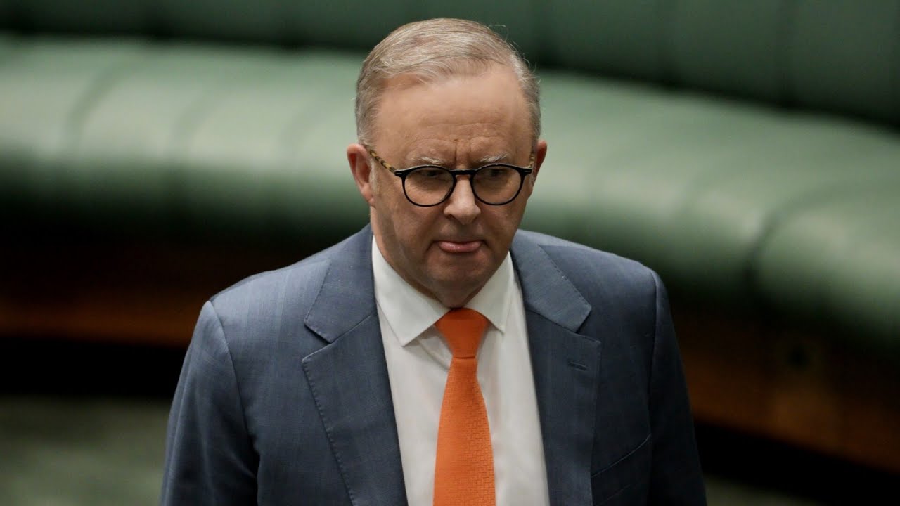 Albanese remains ‘impotent’ despite wielding major parliamentary power