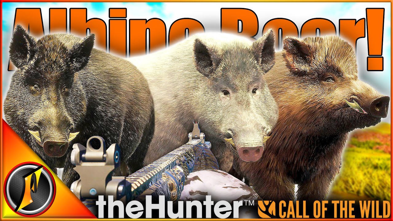 The Great One Boar Grind is ON! | Albino Wild Boar | theHunter Call of the Wild