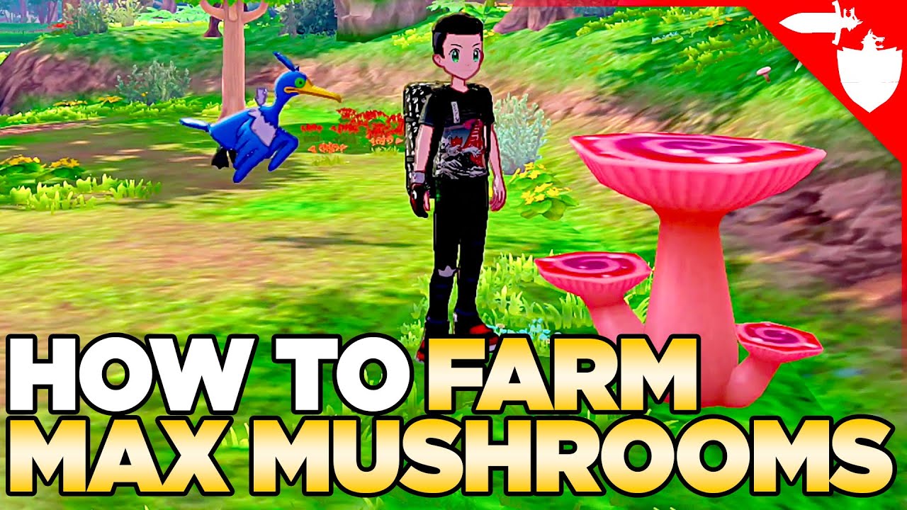How to Farm Max Mushrooms in Pokemon Sword and Shield DLC Isle of Armor
