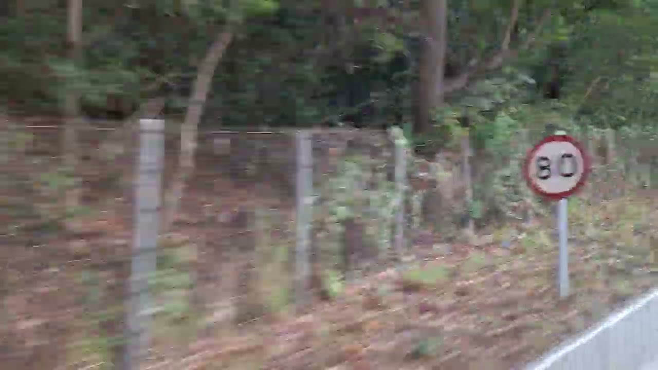 TS681小心學童猛獅Aero 旅遊車身Man車身真正環保5錦綉荃灣NR92 錦綉荃灣往石崗青衣及九龍至石崗青衣及九龍迴旋處