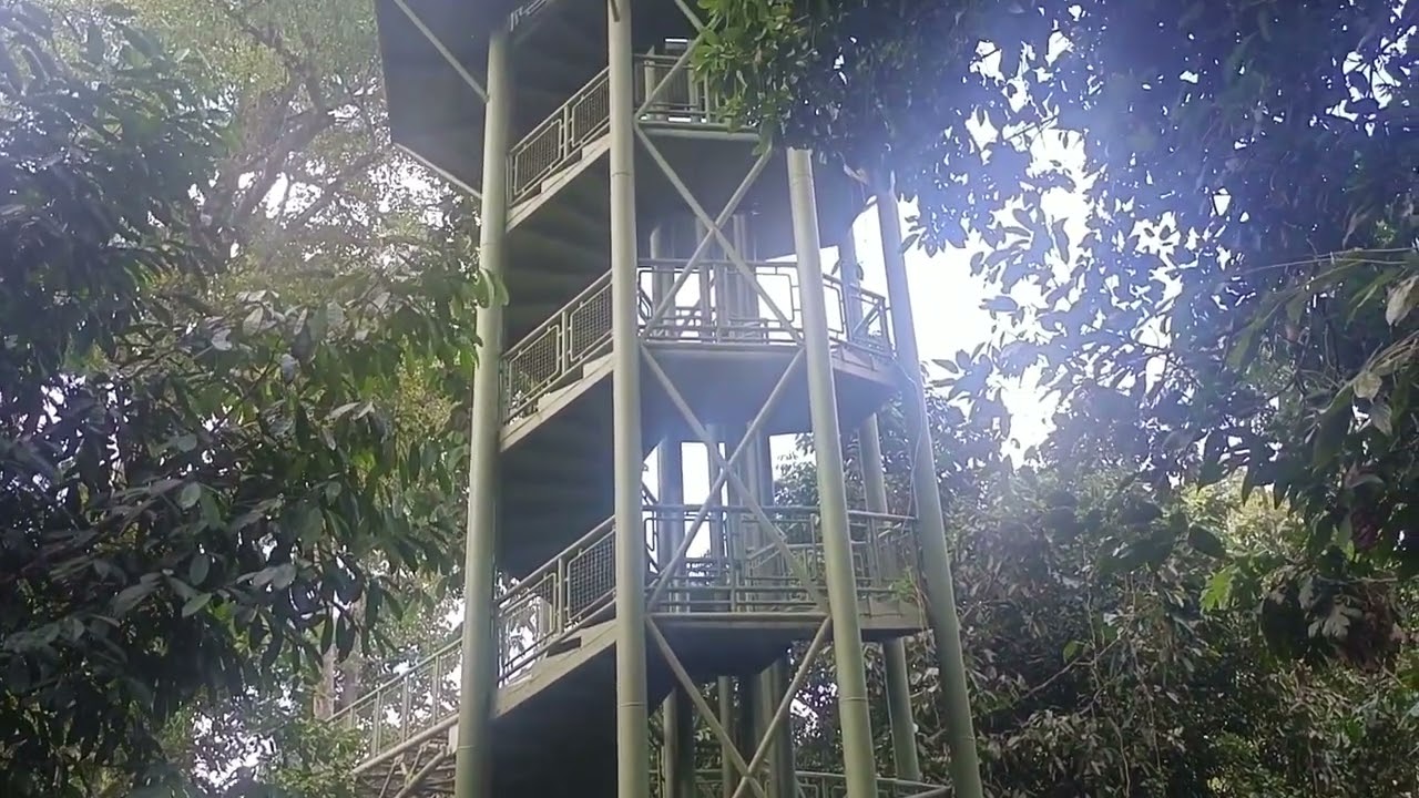 Rainforest Discovery Centre, Sepilok, Sandakan, Borneo